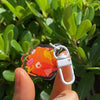 Magic Carp Phone Charm