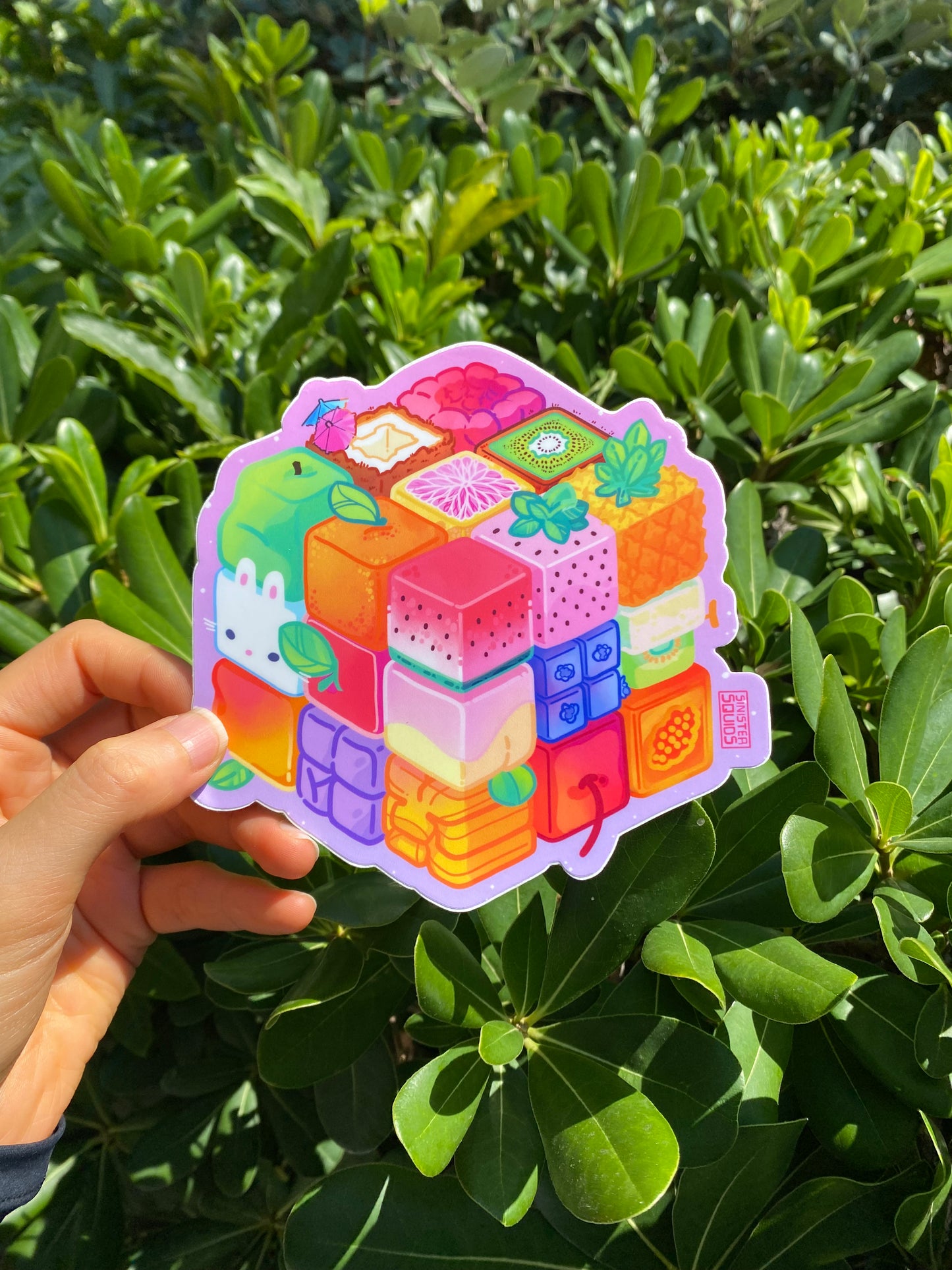 Frubix Cube Decal