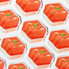 Salmon Sushi Sticker