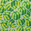 Watermelon Sticker