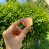 Maruchan Phone Charm