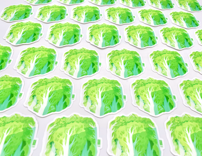 Napa Cabbage
