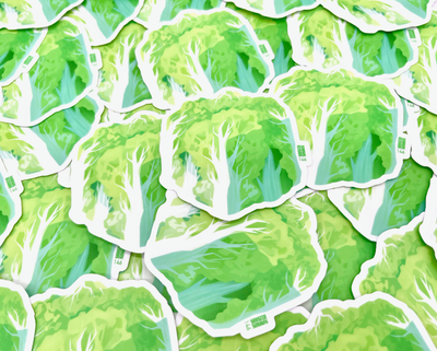 Napa Cabbage