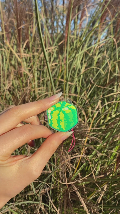 Watermelon Phone Charm