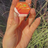 Salmon Sushi Phone Charm