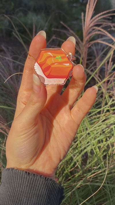 Salmon Sushi Phone Charm