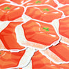 Salmon Sushi Sticker
